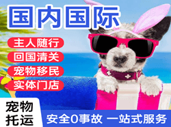 济宁大安机场邮寄国际宠物托运 【国